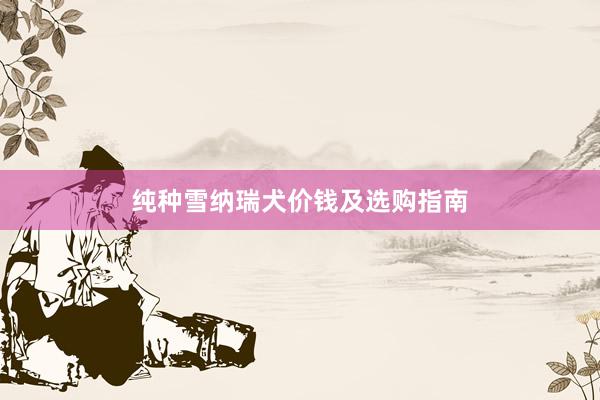 纯种雪纳瑞犬价钱及选购指南