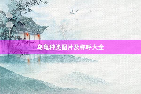 乌龟种类图片及称呼大全